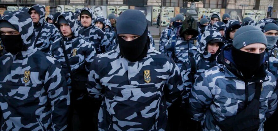 В статье Time рассказали о союзе украинской власти и неонацистов